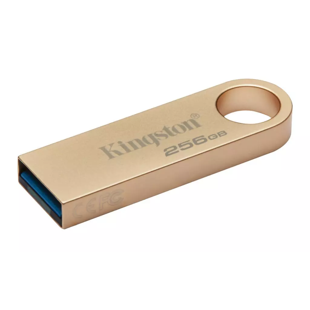 Obrázek produktu Kingston DataTraveler SE9 G3 256GB
