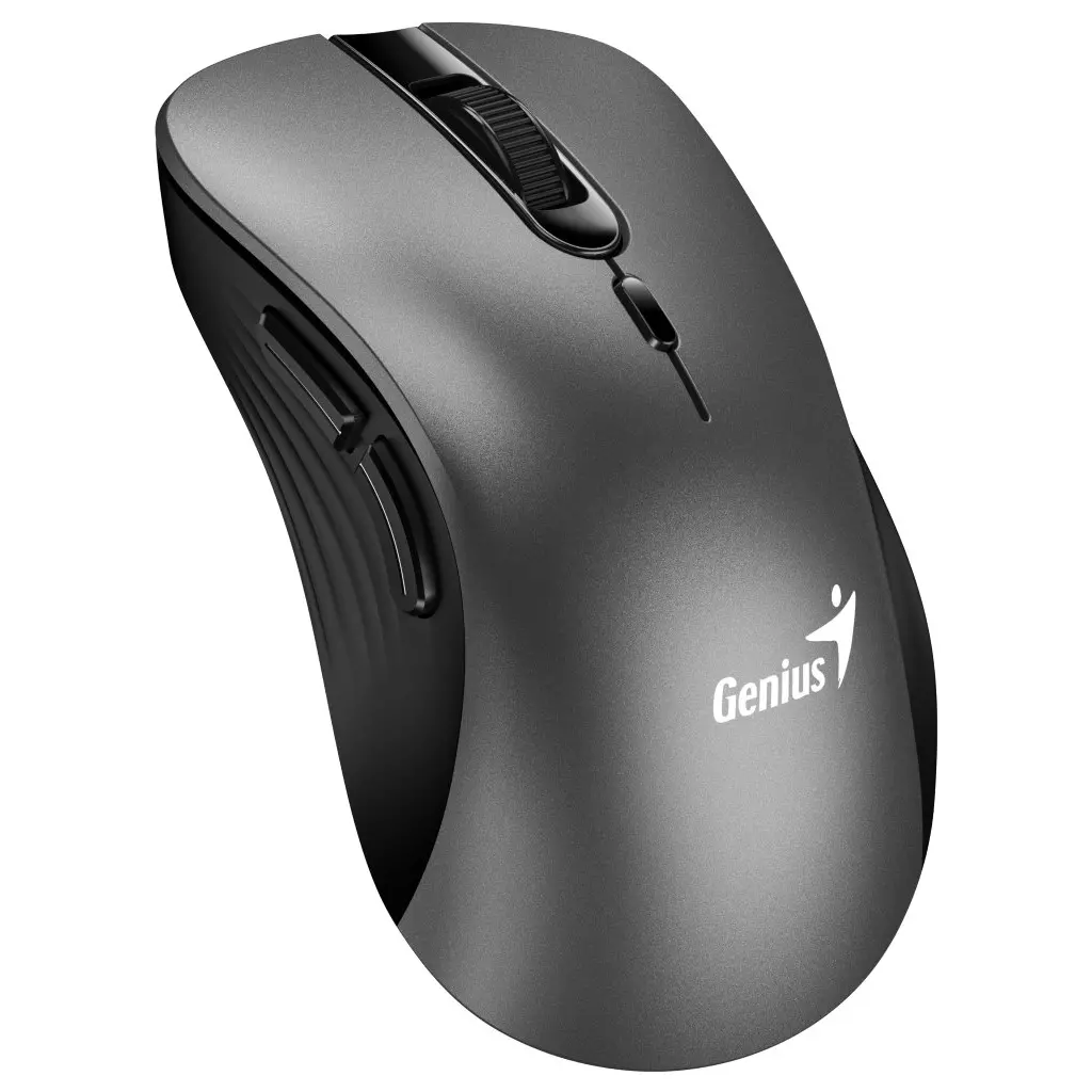 Obrázek produktu Genius Ergo 8100S, kovově šedá