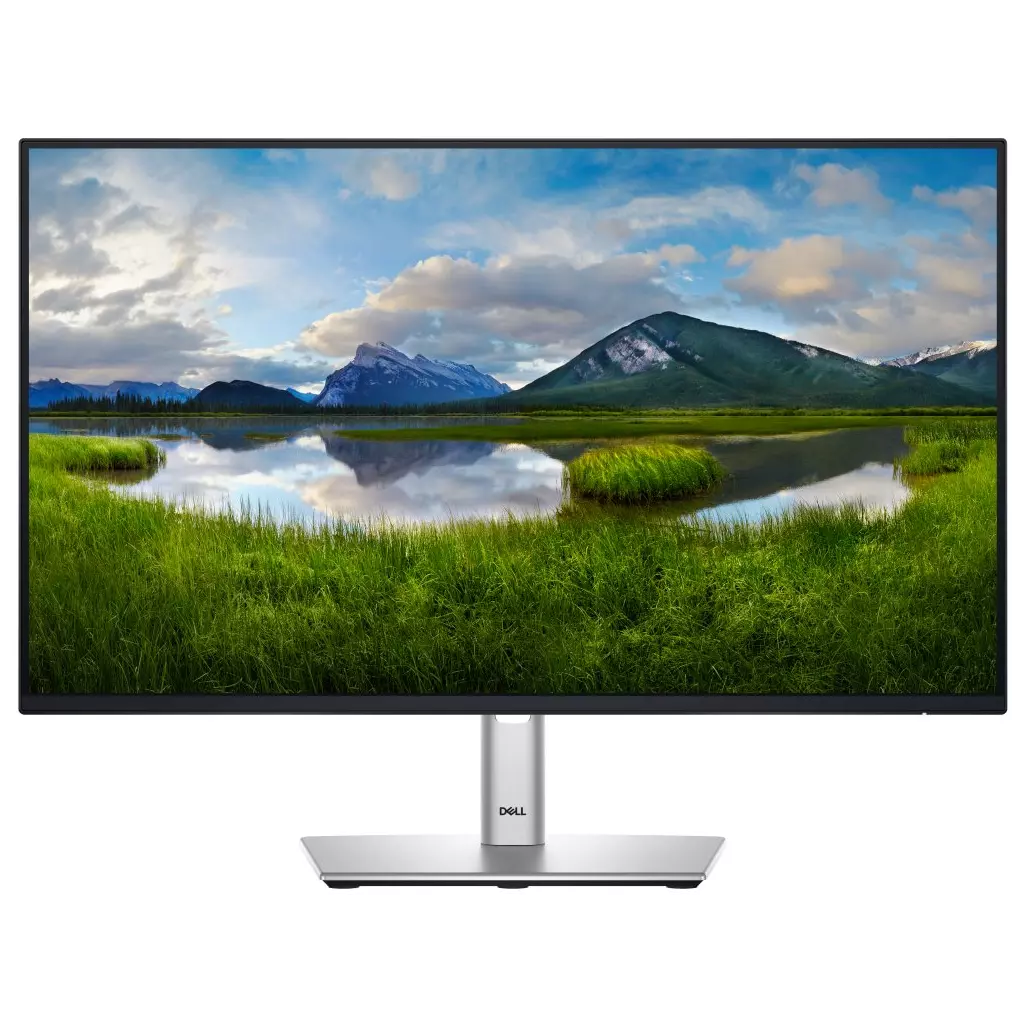 Obrázek produktu DELL Professional P2425H (210-BMFF)