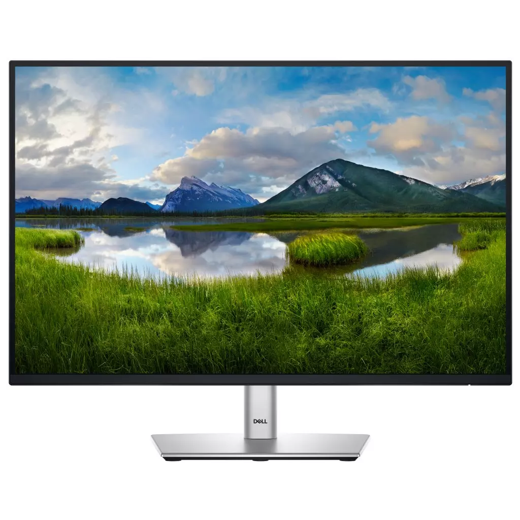 Obrázek produktu DELL Professional P2425 (210-BMJD)