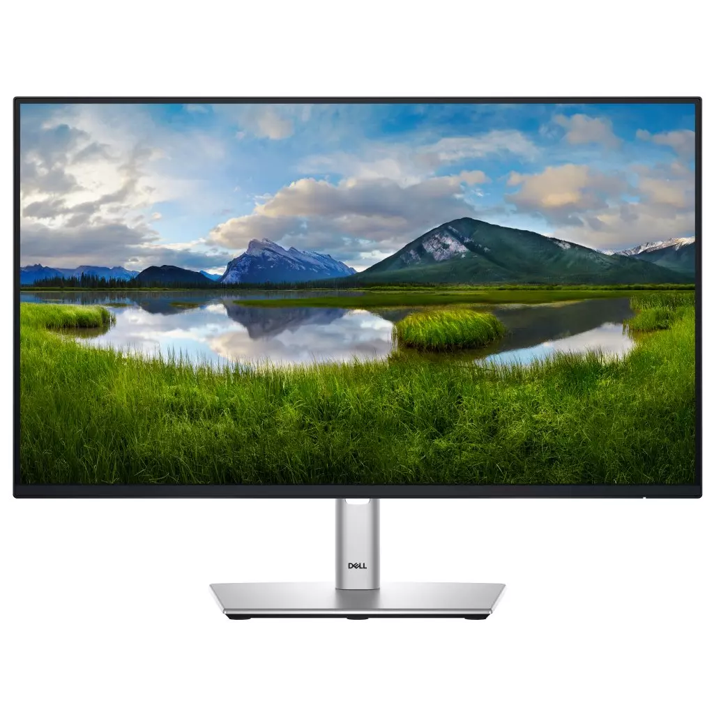 Obrázek produktu DELL Professional P2425HE (210-BMJB)