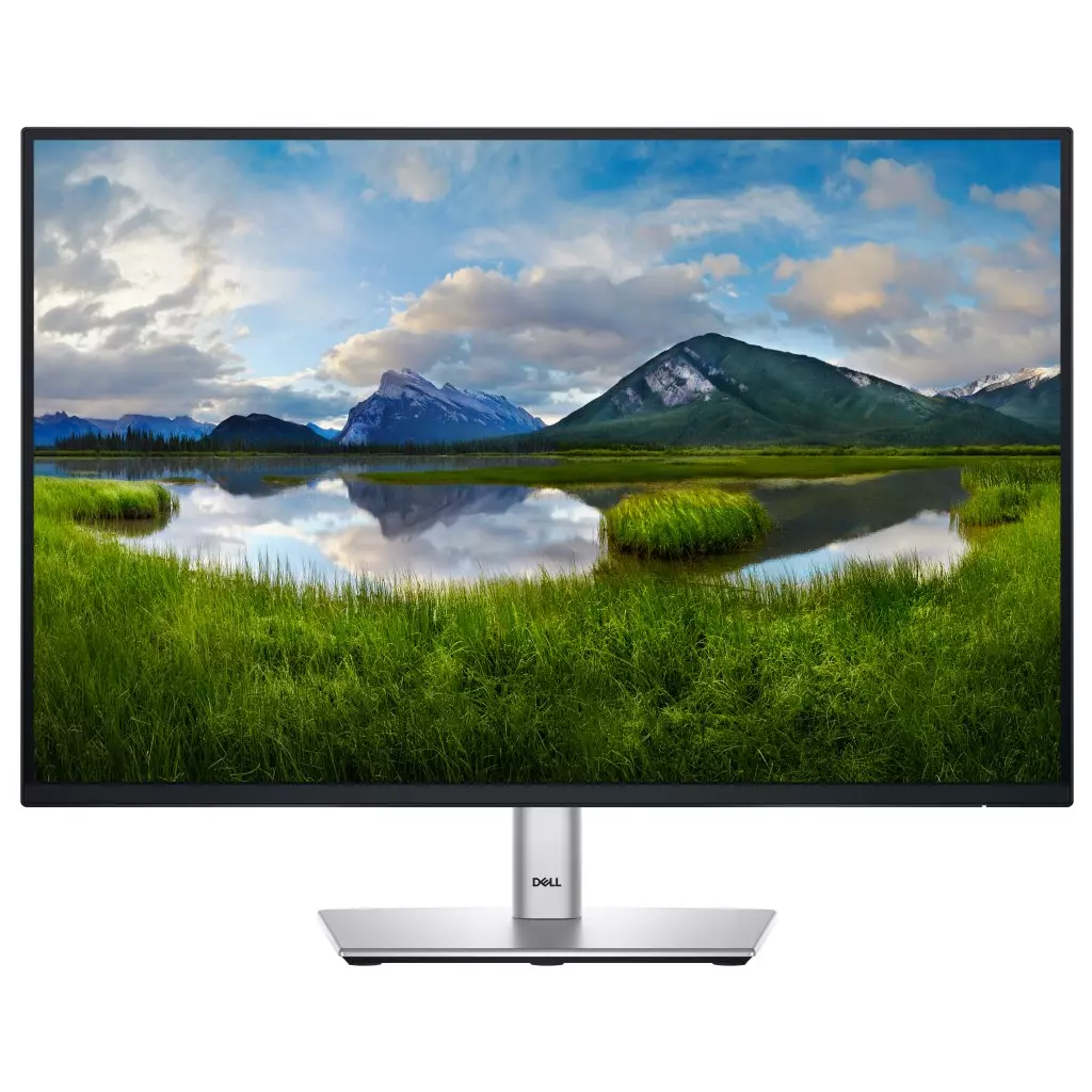 Obrázek produktu DELL Professional P2425E (210-BMJF)