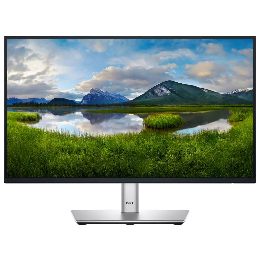 Obrázek produktu DELL Professional P2225H (210-BMHD)