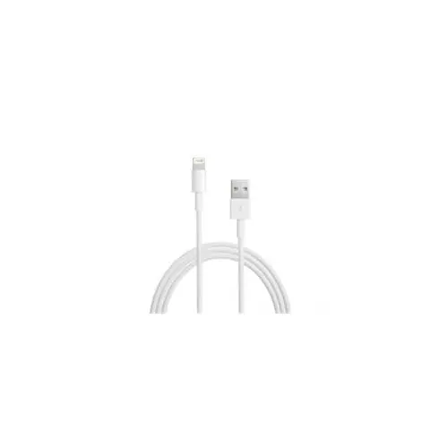 obrázek produktu Apple USB kabel s konektorem Lightning - 1m