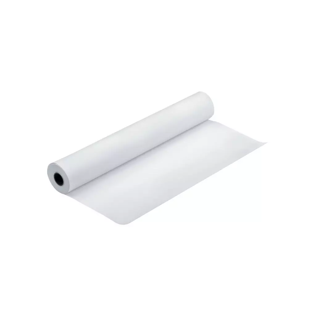 Obrázek produktu Epson Paper Roll Double Weight Matte 24