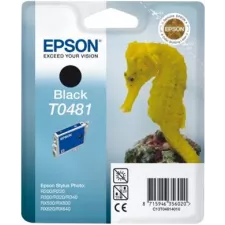 obrázek produktu Epson T0481 Black 13ml pro Stylus Photo R200,R300,R320,R340,RX500,RX600,RX620,RX640 - originální - černá/black