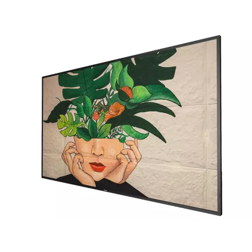 obrázek produktu 65" D-LED Philips 65BDL4511D/00