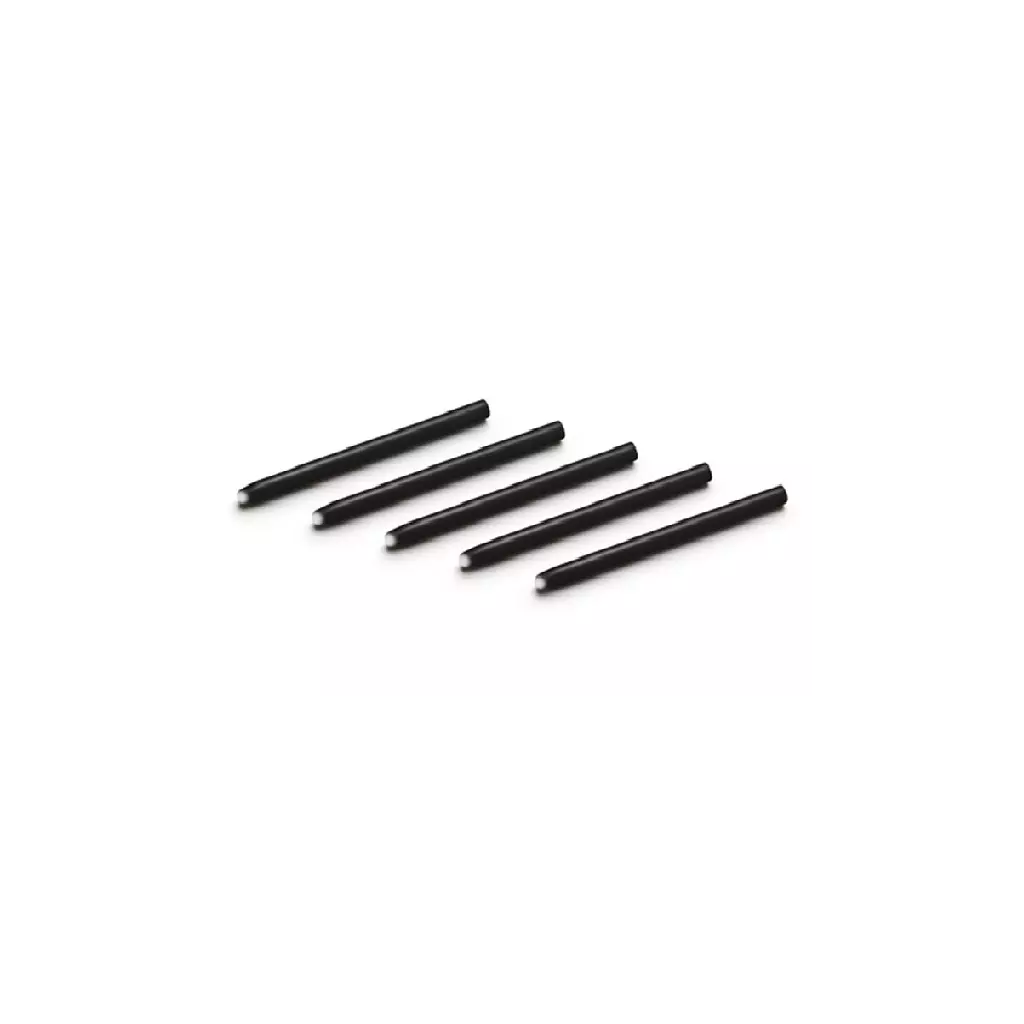 Obrázek produktu Wacom Hroty (flex) pro Intuos 4 (5ks)
