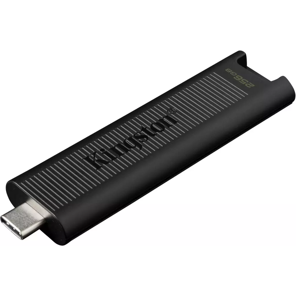 Obrázek produktu Kingston DataTraveler Max 256GB - černá