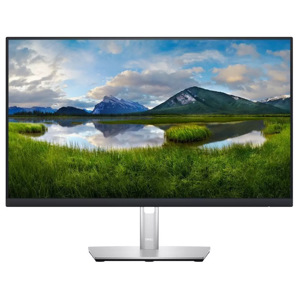 Obrázek produktu DELL Professional P2423DE (210-BDDW)