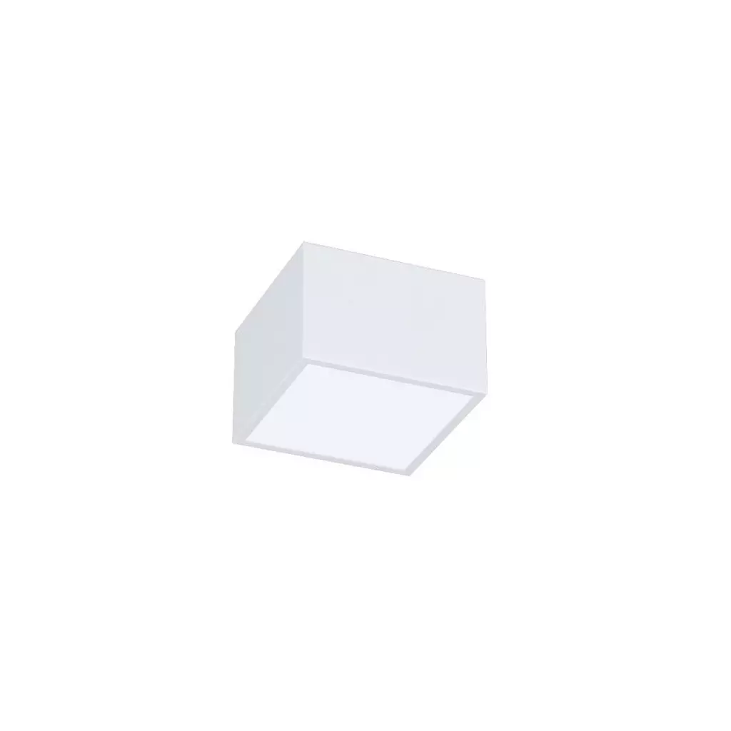 Obrázek produktu IMMAX NEO CANTO SMART stropní svítidlo 15x15cm 12W bílé Zigbee 3.0, TUYA
