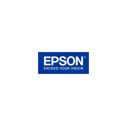 obrázek produktu Epson T596 Ink Cartridge Orange 350 ml