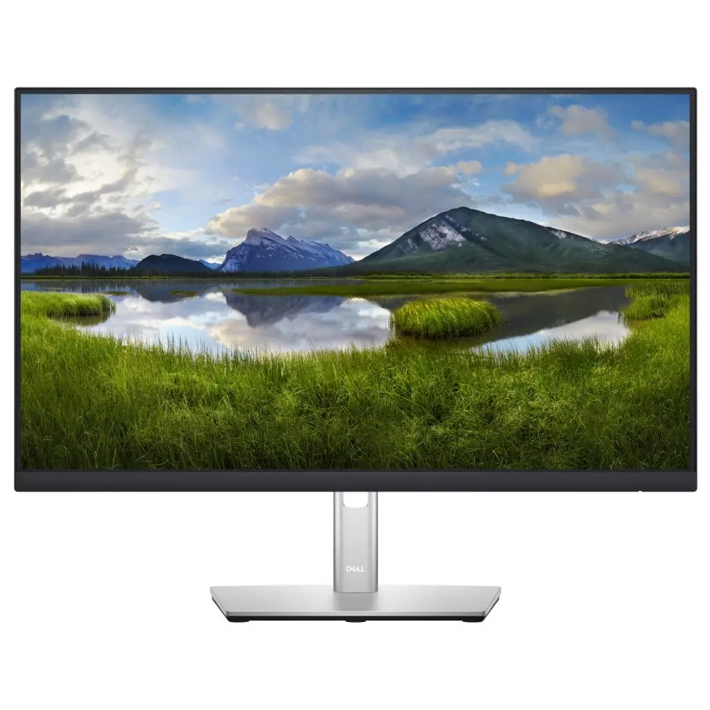 Obrázek produktu DELL P2422H Professional/ 24