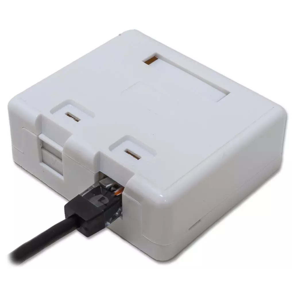 Obrázek produktu XtendLan Zásuvka 2x RJ-45, Cat5e, nestíněná, na zeď, spodní vývod, narážecí s krytkou