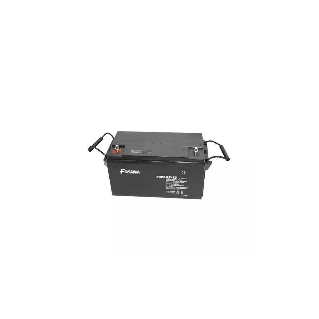 Obrázek produktu FUKAWA olověná baterie FWL 65-12 do UPS APC/ AEG/ EATON/ Powerware/ 12V/ 65Ah/ životnost 10 let/ závit M6