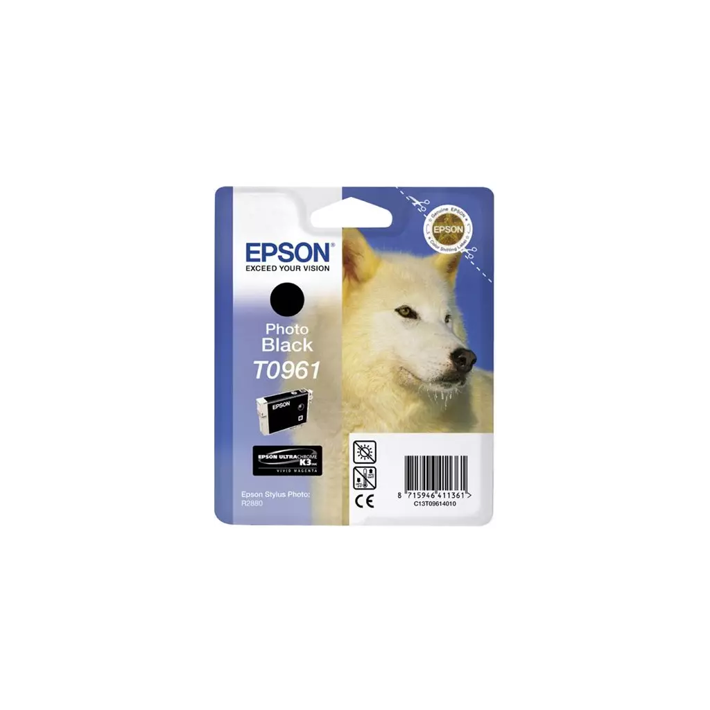 Obrázek produktu Inkoust Epson T0961 černý, foto