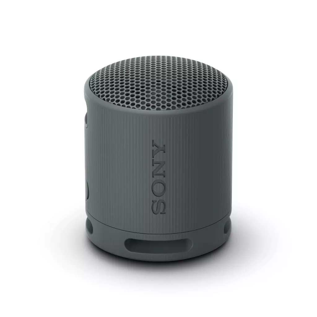 Obrázek produktu Sony Sony SRS-XB100, černá - černá