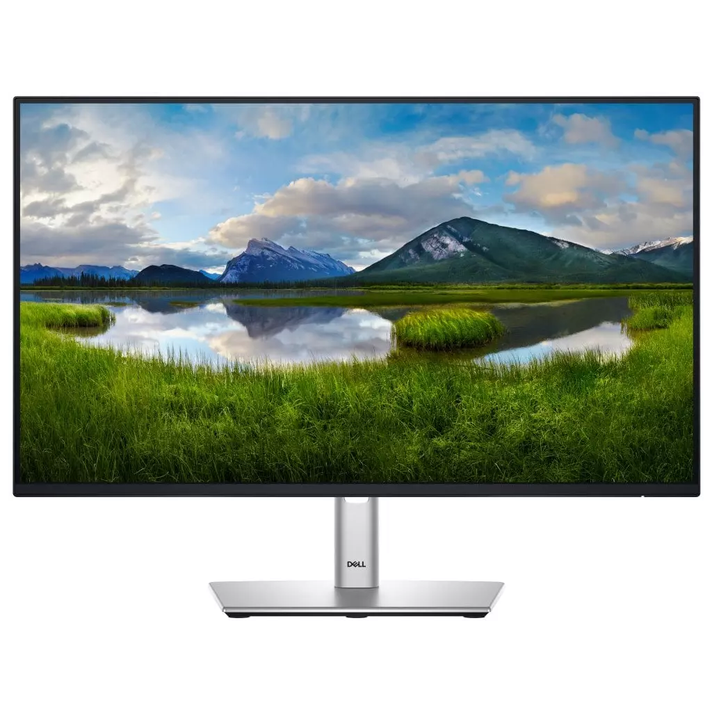 Obrázek produktu DELL Professional P2425HE (210-BMJB)