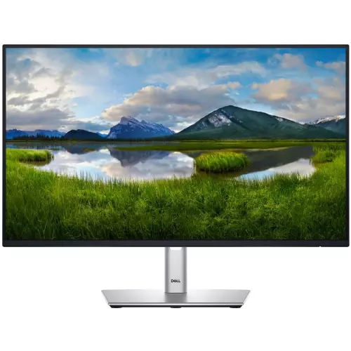 obrázek produktu DELL Professional P2425HE (210-BMJB)