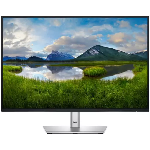 obrázek produktu DELL Professional P2425E (210-BMJF)