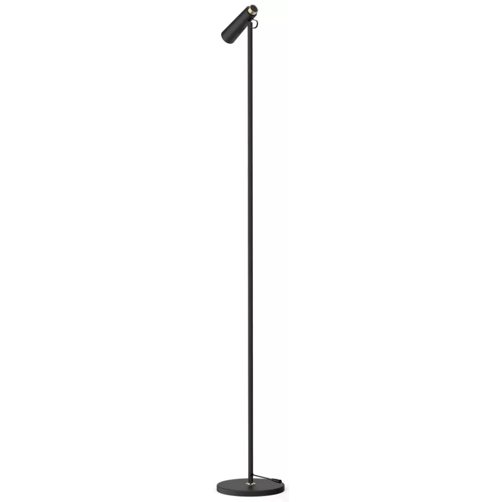 Obrázek produktu LED podlahová lampa Immax TIT, černá se zlatými prvky, CCT