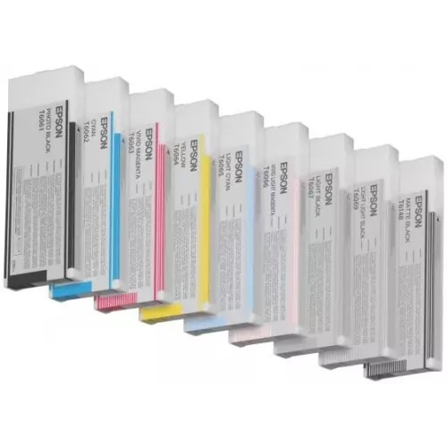 obrázek produktu Epson T606700 Light Black (220ml) pro Stylus Pro 4800/4880 - originální - černá/black