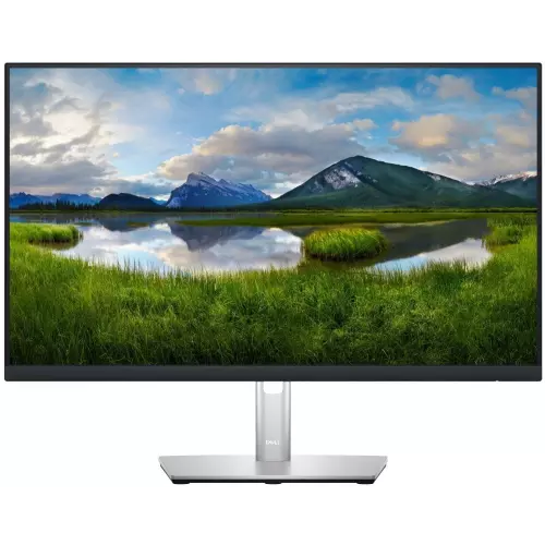 obrázek produktu DELL Professional P2423D (210-BDEG)