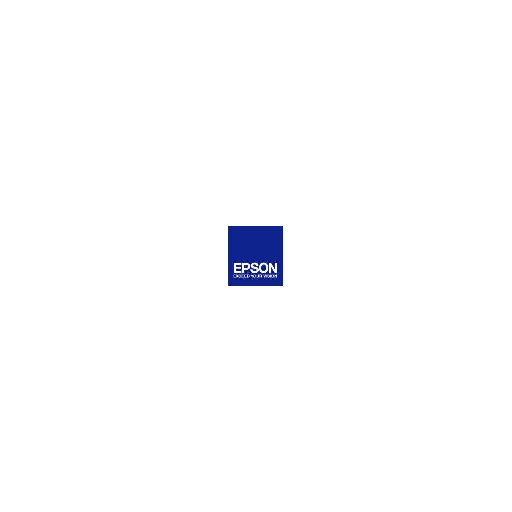 Obrázek produktu Epson Premium Luster Photo Paper, C13S041785, foto papír, lesklý, bílý, A3+, 235 g/m2, 100 ks, inkoustový