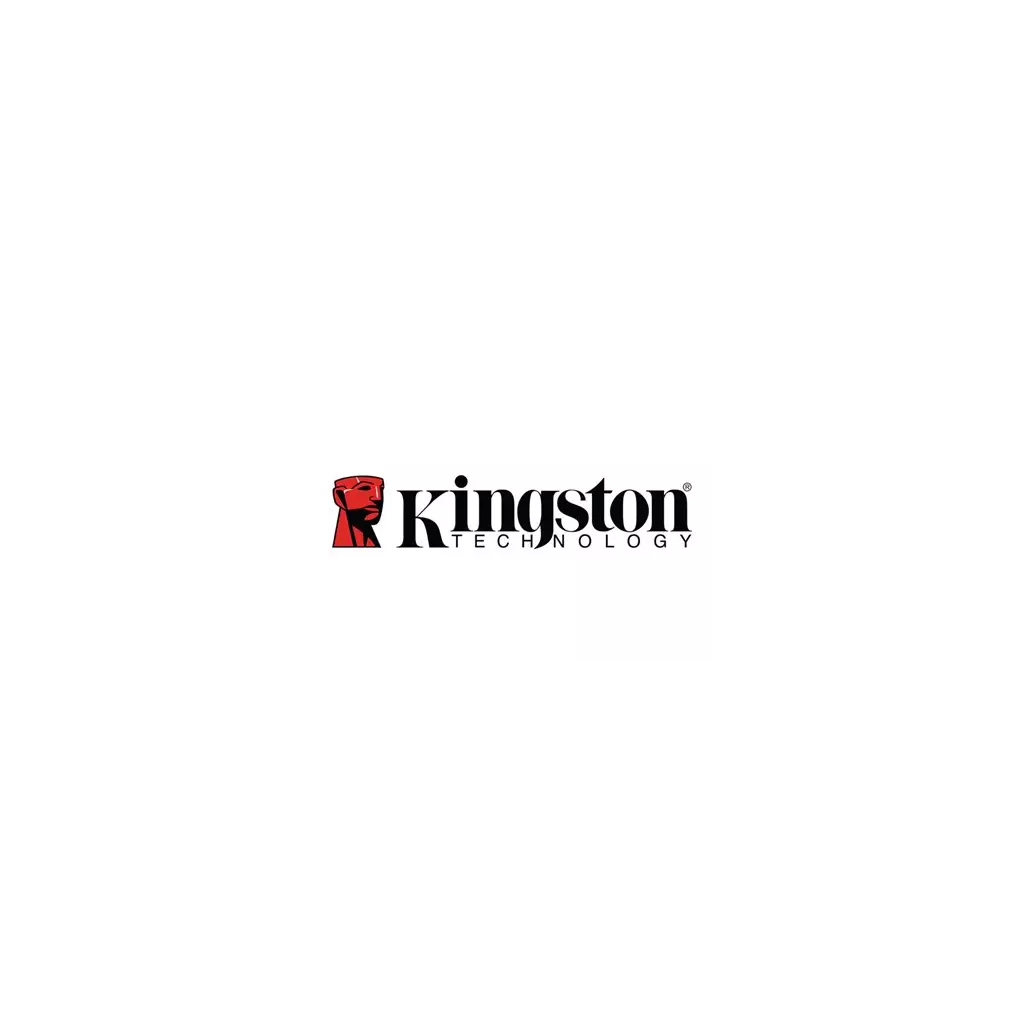 Obrázek produktu Kingston DC3000ME