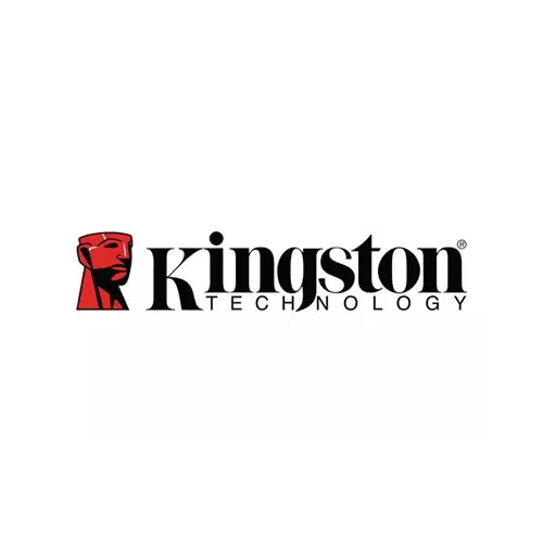 obrázek produktu Kingston DC3000ME