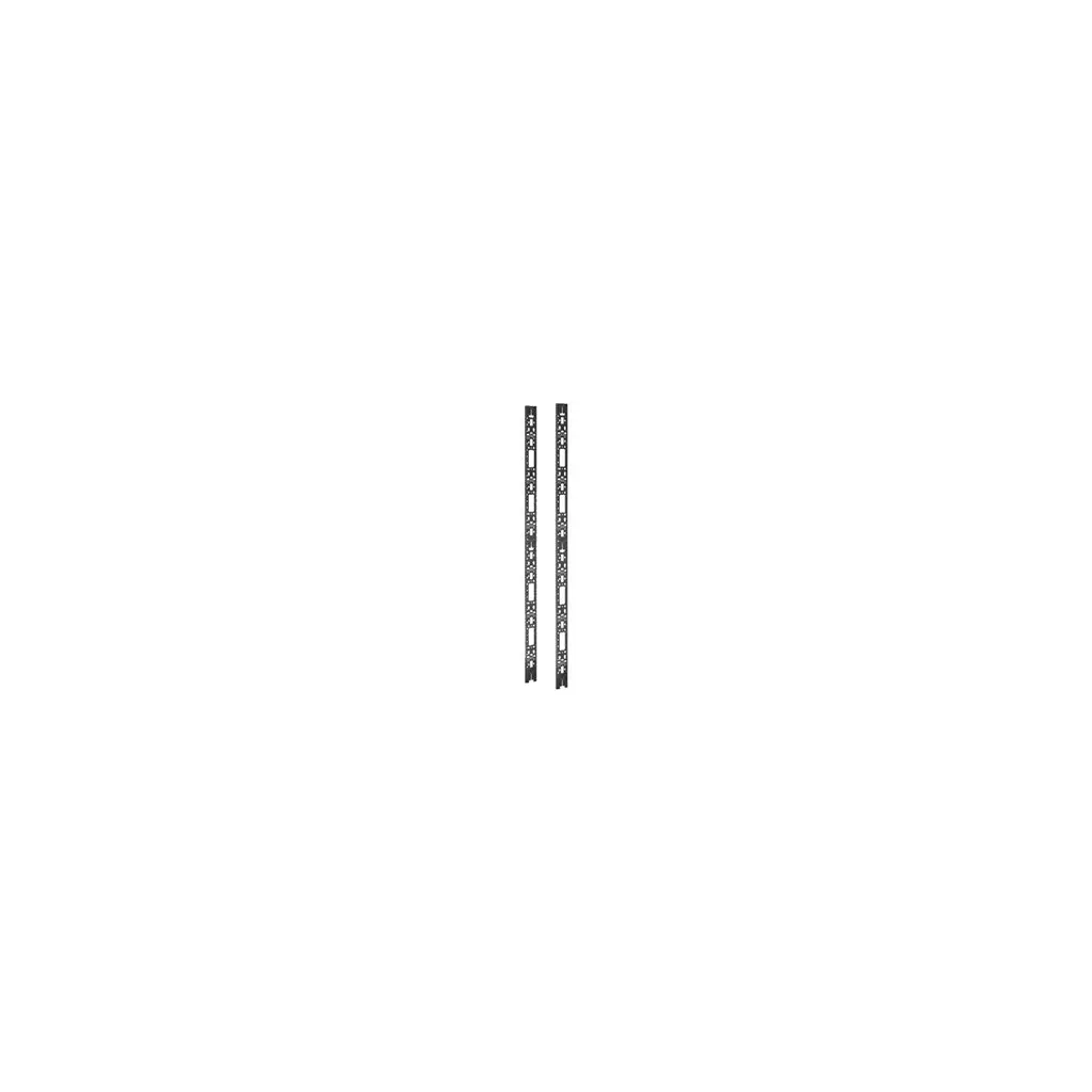 Obrázek produktu NetShelter SX Vertical Cable Organizer 42U (2qty.)