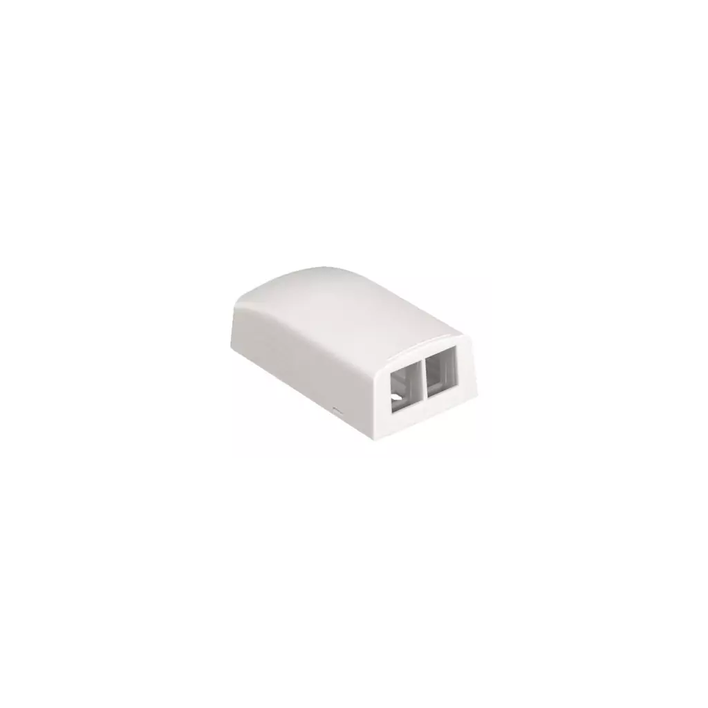 Obrázek produktu PANDUIT zásuvka pro 2 moduly NetKey, na omítku, arkticky bílá