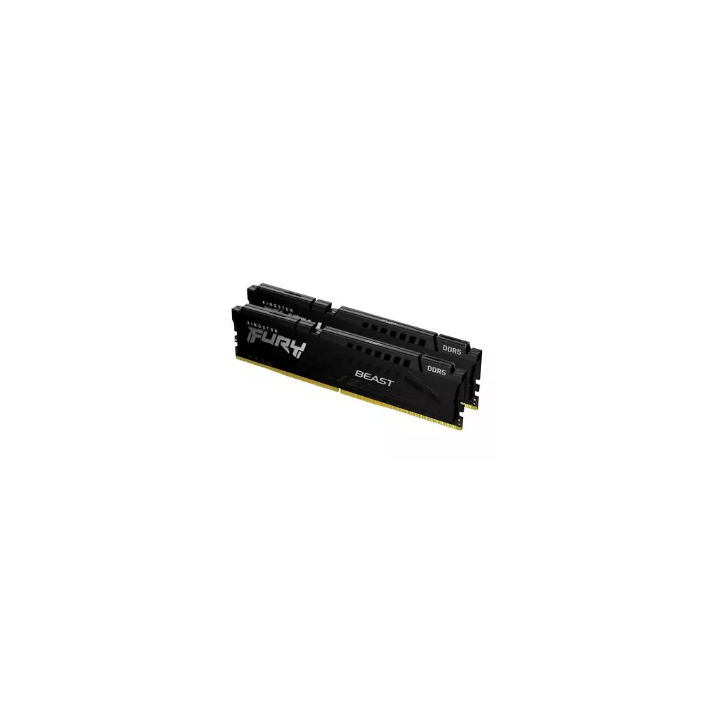 Obrázek produktu Kingston FURY Beast