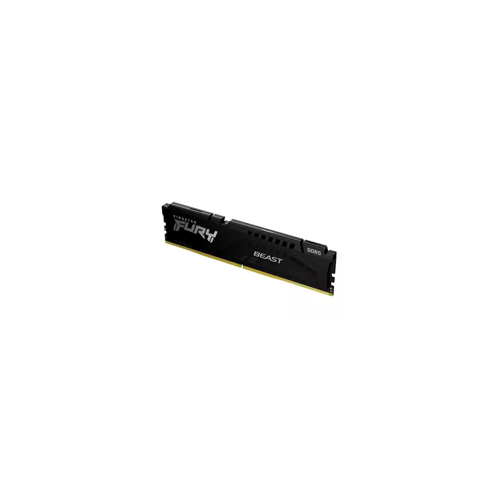 Obrázek produktu Kingston FURY Beast