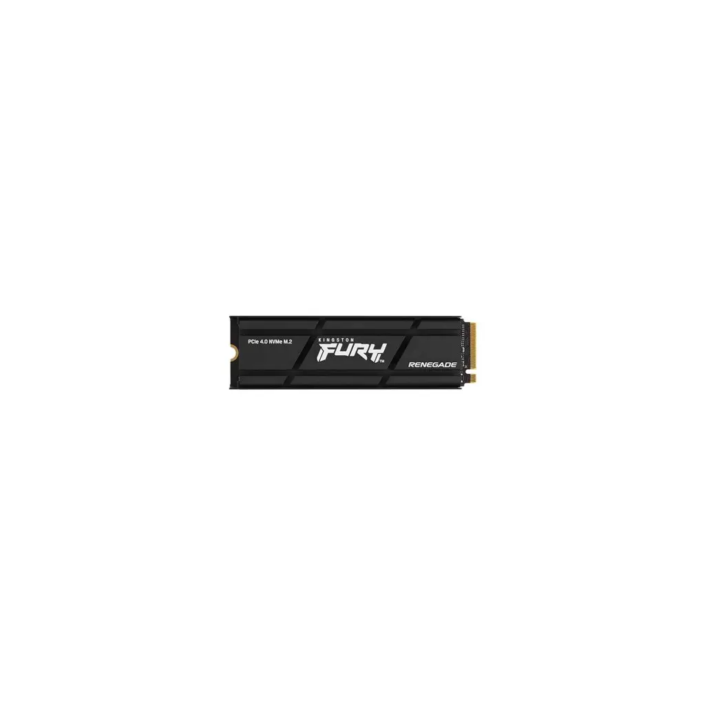Obrázek produktu Kingston FURY Renegade