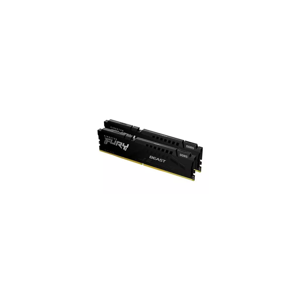 Obrázek produktu Kingston FURY Beast