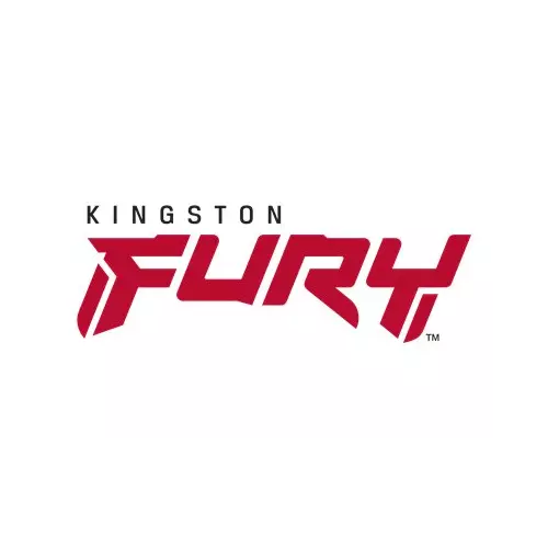 obrázek produktu Kingston FURY Beast RGB