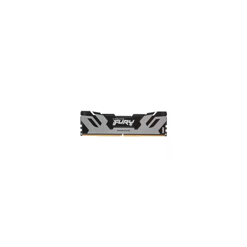 Obrázek produktu Kingston FURY Renegade