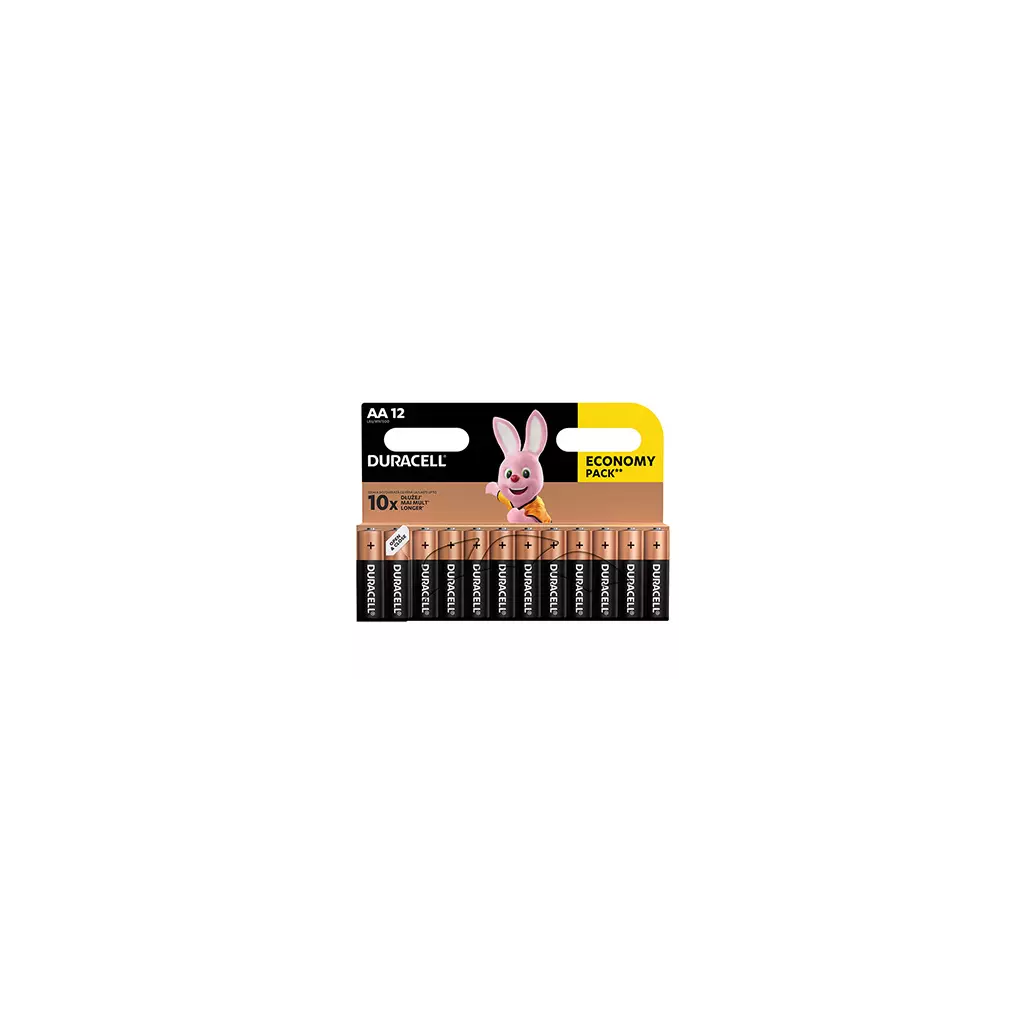 Obrázek produktu Baterie Duracell Basic, AA (LR6), blistr, 12-pack, 42305 