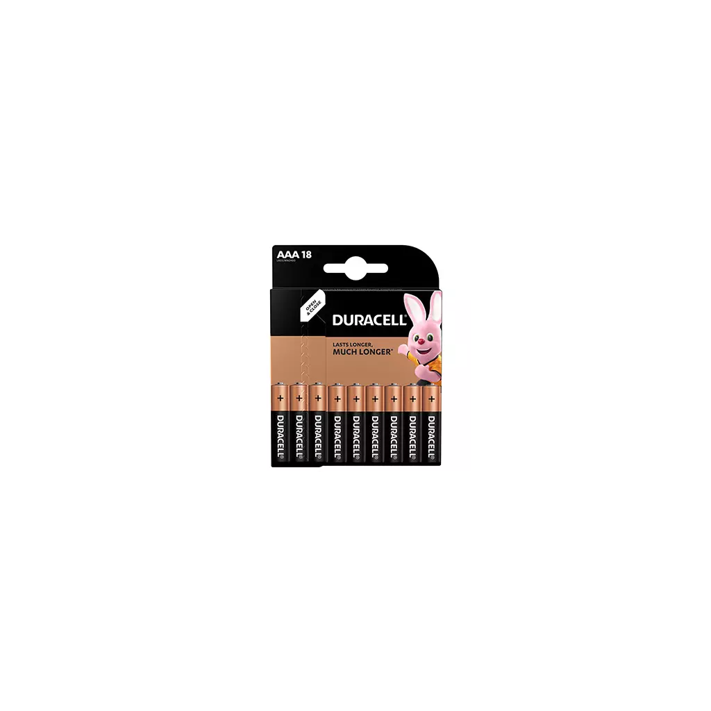 Obrázek produktu Baterie Duracell Basic, AAA (LR03), blistr, 18-pack, 42326