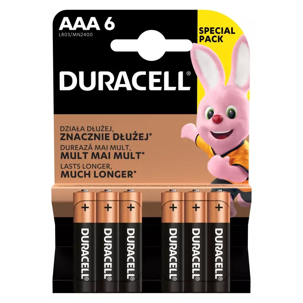 Obrázek produktu Baterie Duracell Basic, AAA (LR03), blistr, 6-pack, 42327