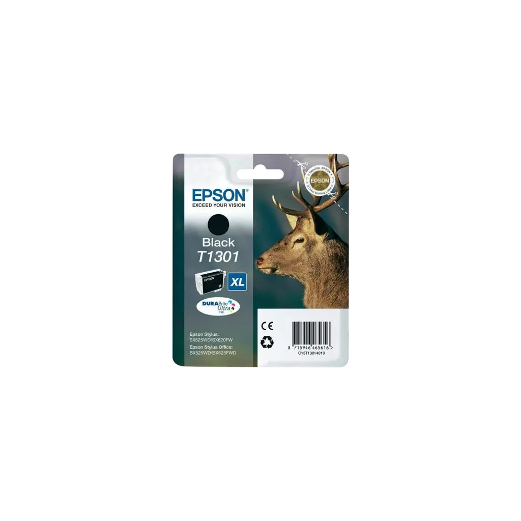 Obrázek produktu Epson Singlepack Black T1301 DURABrite Ultra Ink C13T13014012