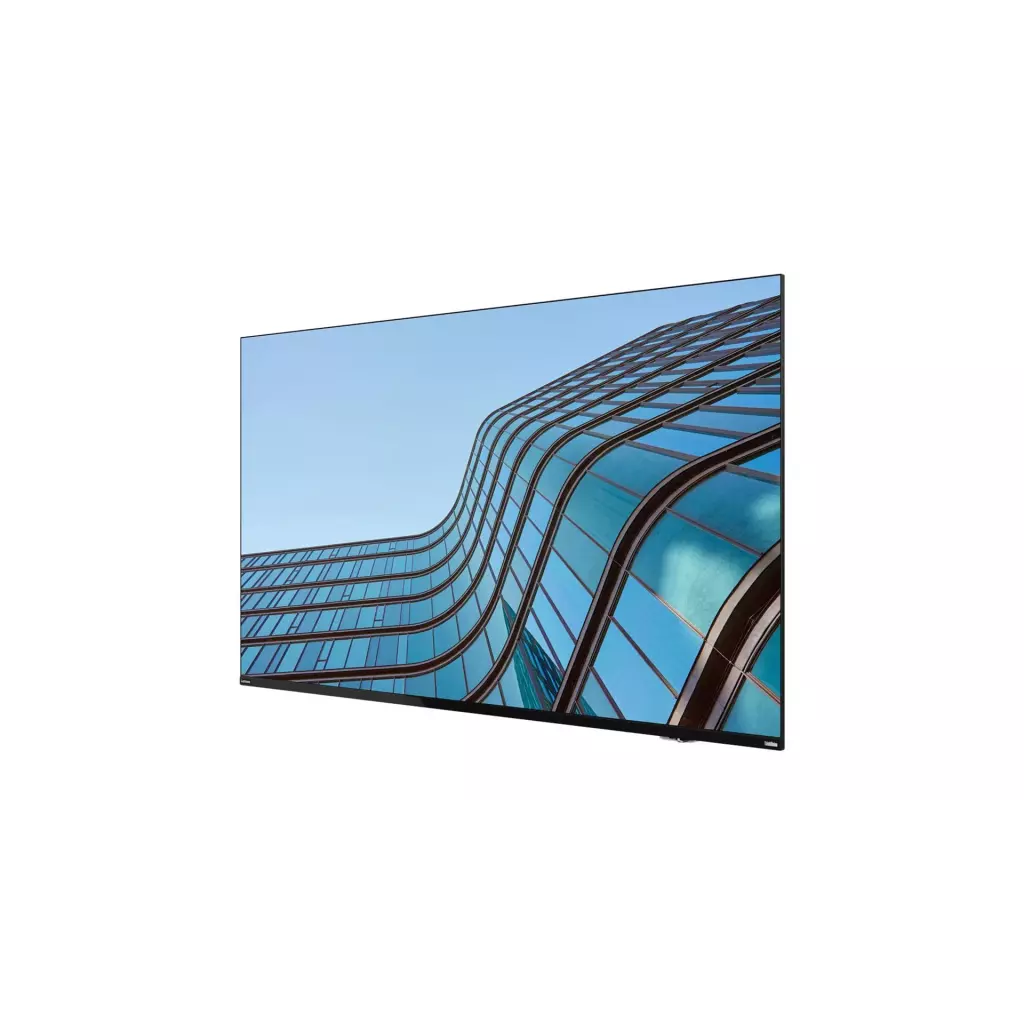 Obrázek produktu Lenovo ThinkViosion E55 54,6