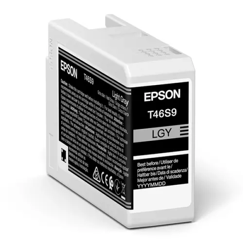 obrázek produktu Epson originální ink C13T46S900, light gray