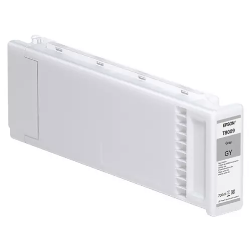 obrázek produktu Epson originální ink C13T800900, gray, 700ml