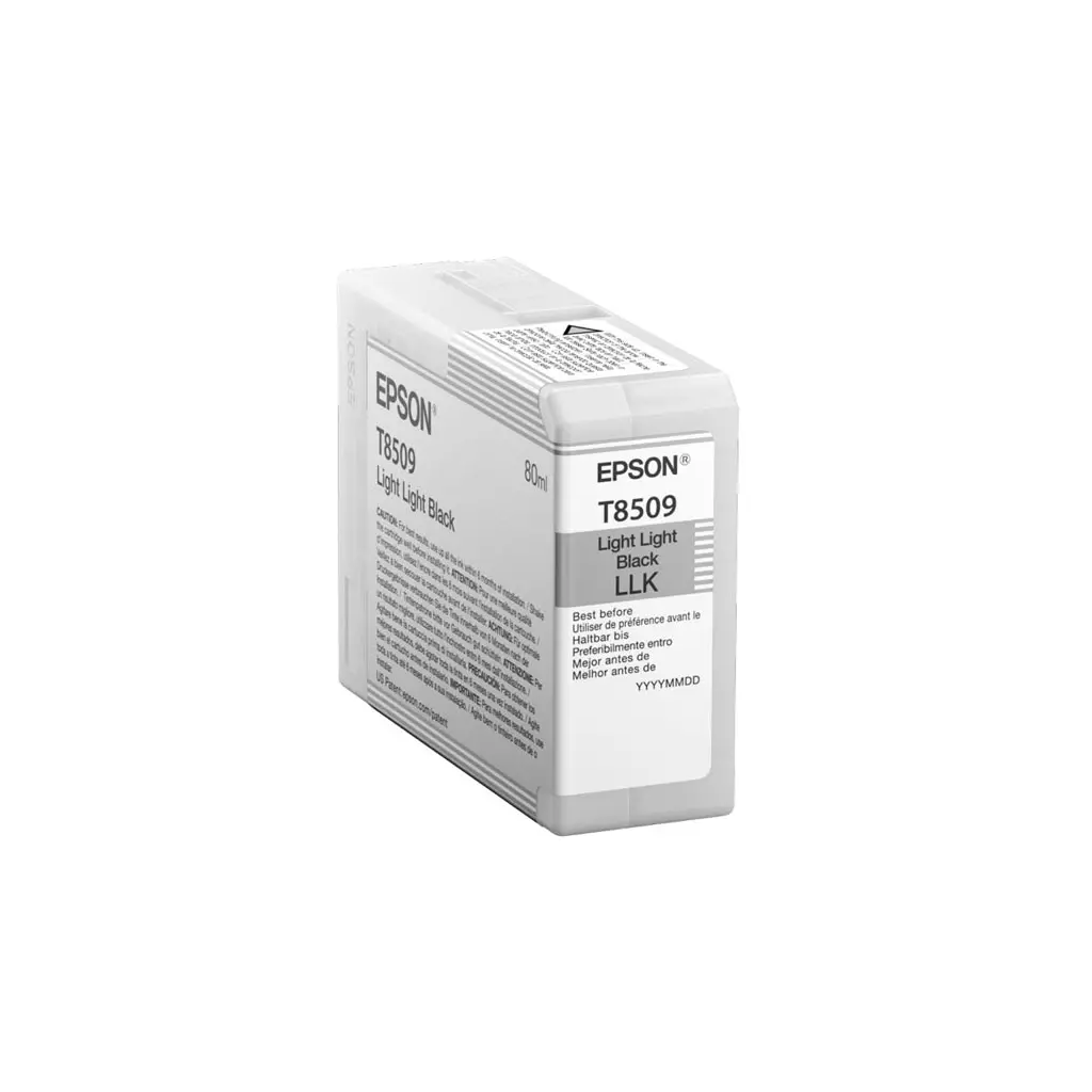 Obrázek produktu Epson originální ink C13T850900, light black, 80ml