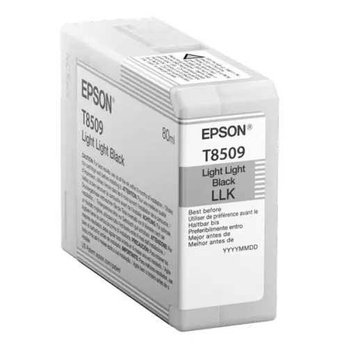 obrázek produktu Epson originální ink C13T850900, light black, 80ml