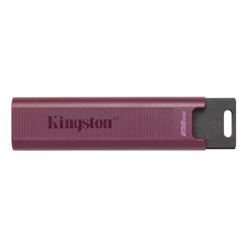 Obrázek produktu 256GB Kingston DT Max USB-A 3.2 gen. 2