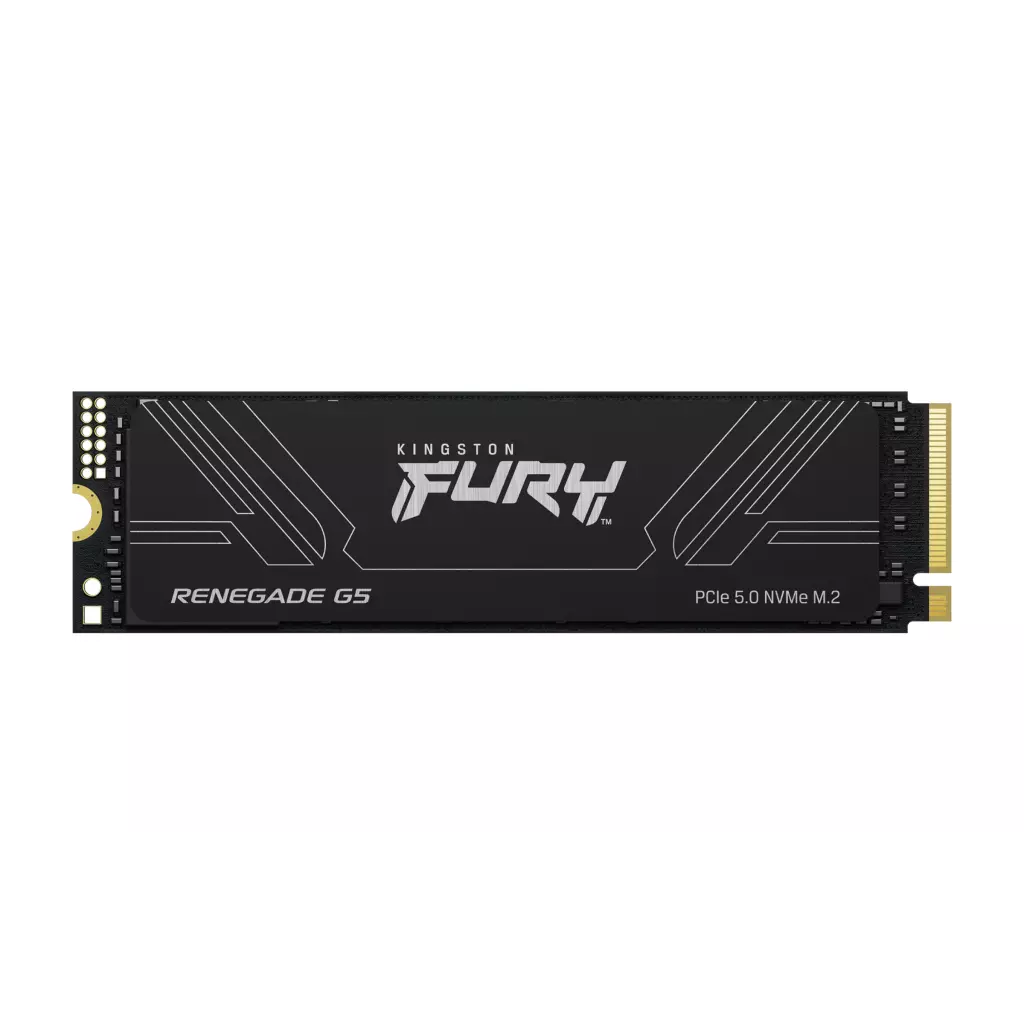 Obrázek produktu Kingston Fury Renegade G5/1TB/SSD/M.2 NVMe/Černá/Heatsink/5R