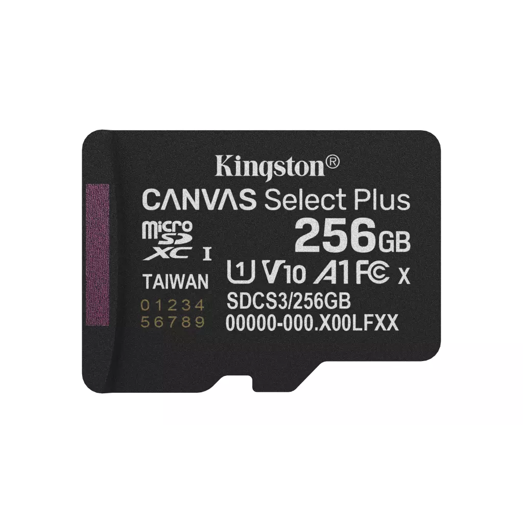 Obrázek produktu Kingston Canvas Select Plus/Micro SDXC/256GB/UHS-I U1 / Class 10